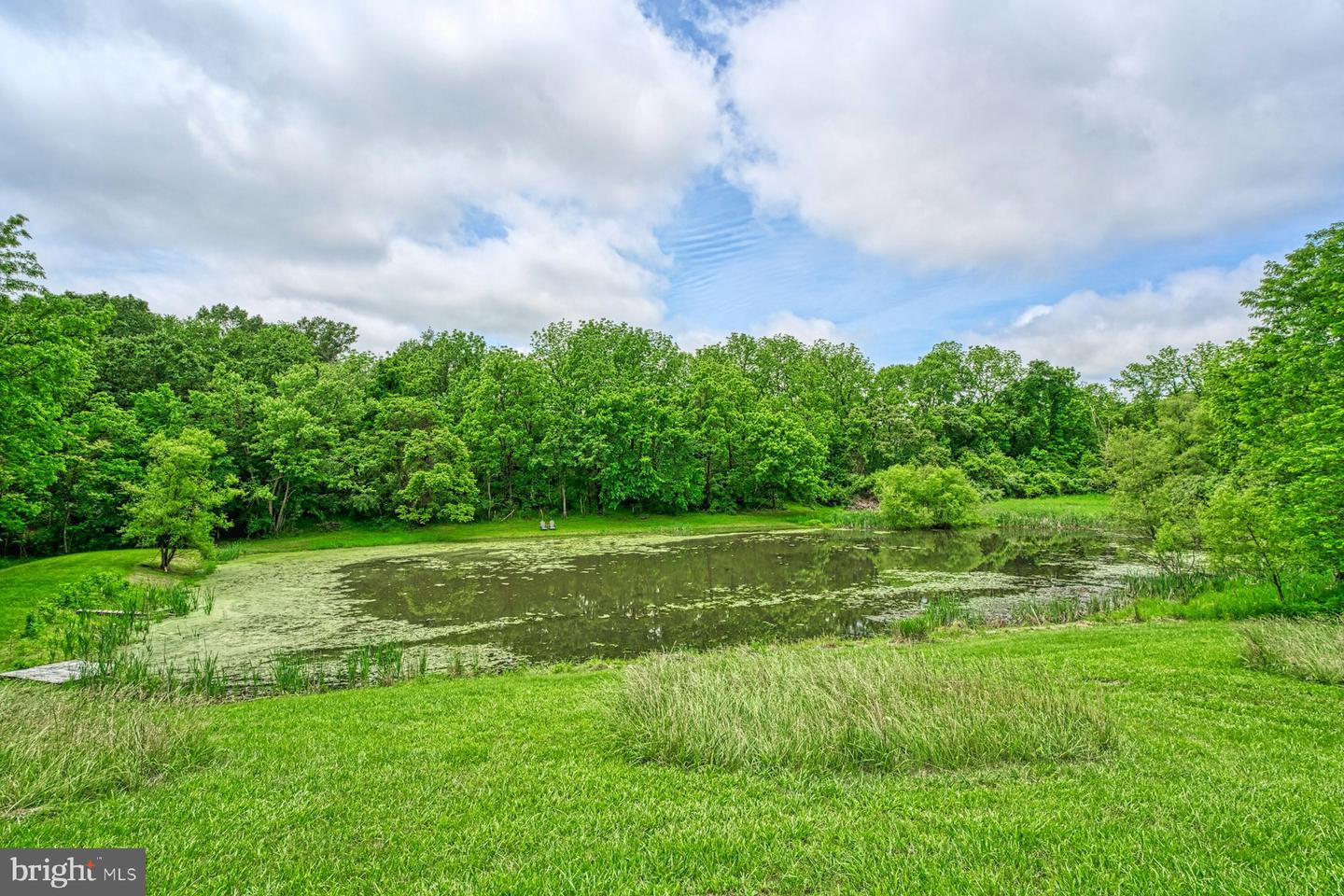 13487 MIDLANDS FARM LN, LOVETTSVILLE, Virginia 20180, 3 Bedrooms Bedrooms, ,2 BathroomsBathrooms,Residential,For sale,13487 MIDLANDS FARM LN,VALO2097336 MLS # VALO2097336