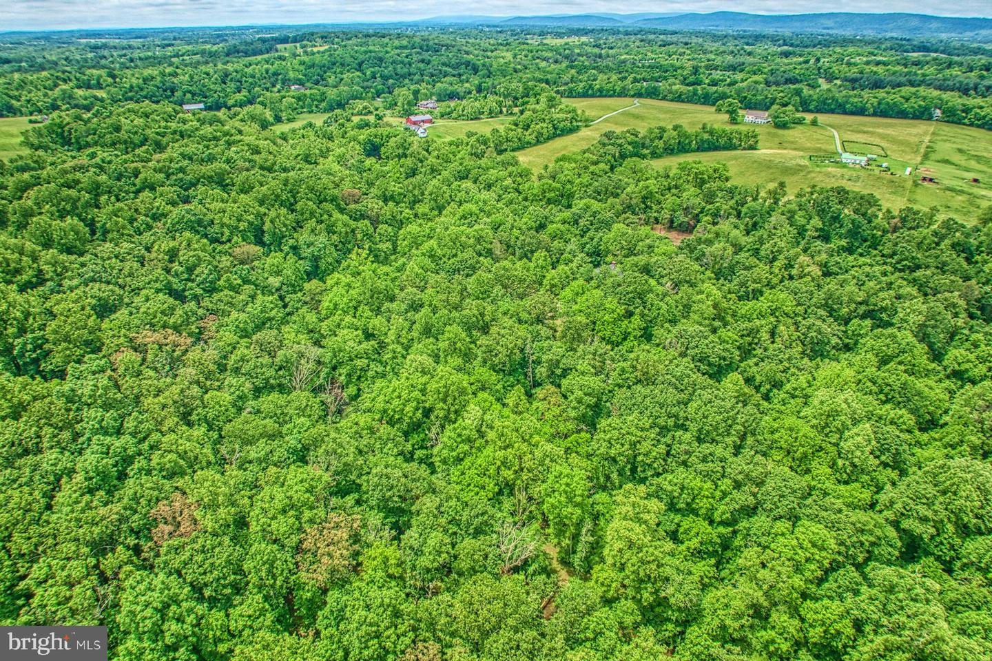 13487 MIDLANDS FARM LN, LOVETTSVILLE, Virginia 20180, 3 Bedrooms Bedrooms, ,2 BathroomsBathrooms,Residential,For sale,13487 MIDLANDS FARM LN,VALO2097336 MLS # VALO2097336