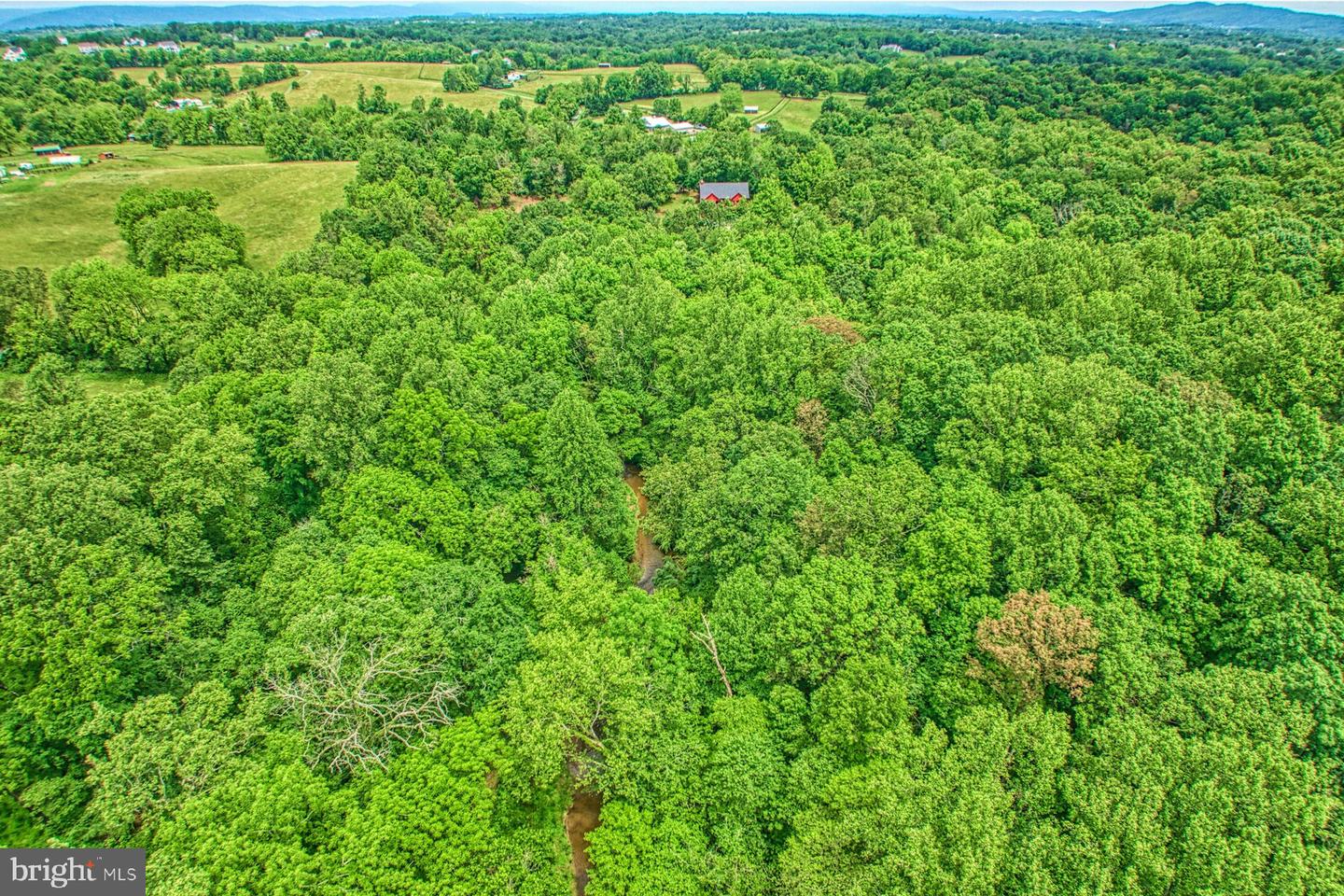13487 MIDLANDS FARM LN, LOVETTSVILLE, Virginia 20180, 3 Bedrooms Bedrooms, ,2 BathroomsBathrooms,Residential,For sale,13487 MIDLANDS FARM LN,VALO2097336 MLS # VALO2097336
