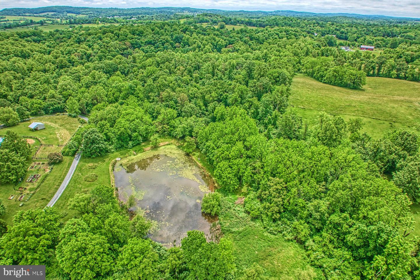 13487 MIDLANDS FARM LN, LOVETTSVILLE, Virginia 20180, 3 Bedrooms Bedrooms, ,2 BathroomsBathrooms,Residential,For sale,13487 MIDLANDS FARM LN,VALO2097336 MLS # VALO2097336