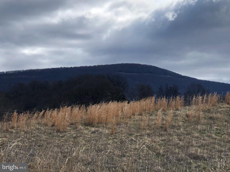 FOX HILL DR, FRONT ROYAL, Virginia 22630, ,Land,For sale,FOX HILL DR,VAWR2011348 MLS # VAWR2011348