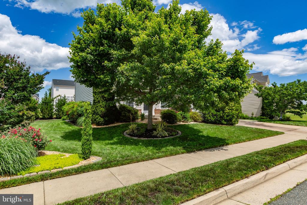 9016 LAUREL OAK LN, FREDERICKSBURG, Virginia 22407, 4 Bedrooms Bedrooms, ,2 BathroomsBathrooms,Residential,9016 LAUREL OAK LN,VASP2033190 MLS # VASP2033190