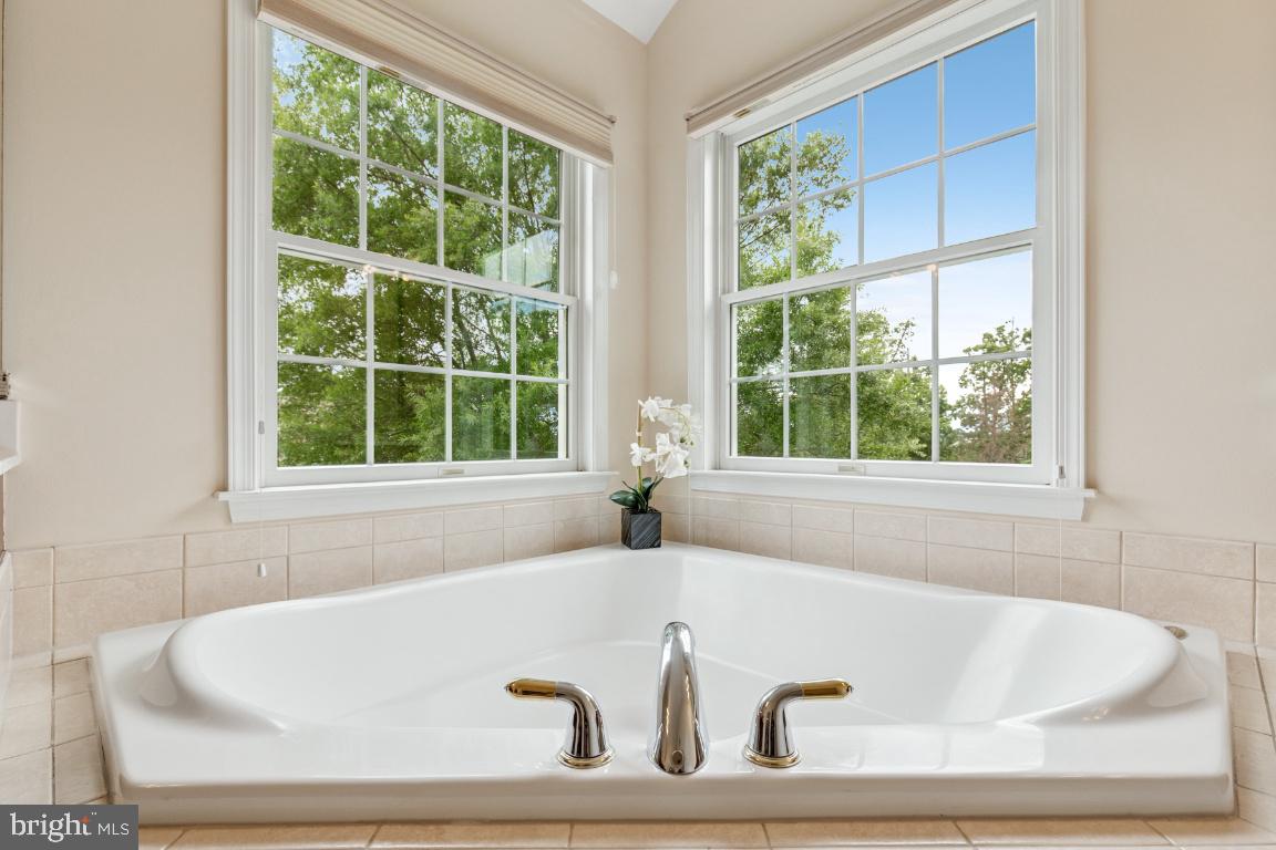 43229 AUGUSTINE PL, ASHBURN, Virginia 20147, 5 Bedrooms Bedrooms, ,5 BathroomsBathrooms,Residential,For sale,43229 AUGUSTINE PL,VALO2098188 MLS # VALO2098188