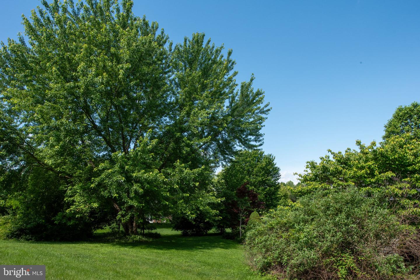 18894 EQUESTRIAN LN, CULPEPER, Virginia 22701, 4 Bedrooms Bedrooms, ,3 BathroomsBathrooms,Residential,For sale,18894 EQUESTRIAN LN,VACU2010706 MLS # VACU2010706
