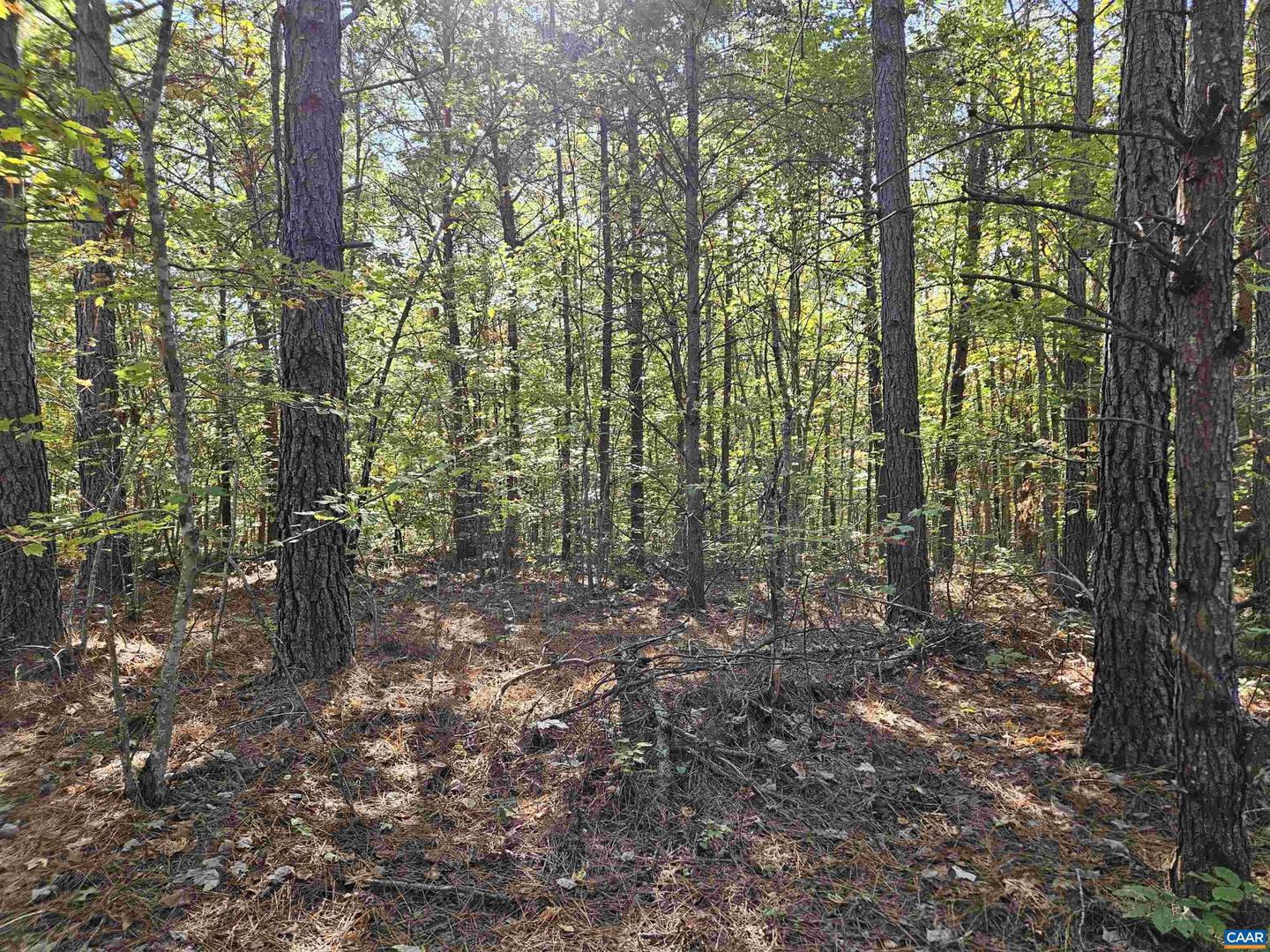 10239 HOWARDSVILLE RD, HOWARDSVILLE, Virginia 24562, 2 Bedrooms Bedrooms, ,1 BathroomBathrooms,Residential,For sale,10239 HOWARDSVILLE RD,665163 MLS # 665163