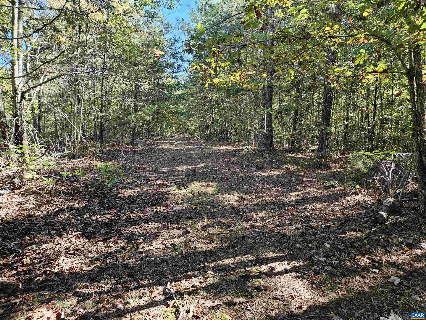 10239 HOWARDSVILLE RD, HOWARDSVILLE, Virginia 24562, 2 Bedrooms Bedrooms, ,1 BathroomBathrooms,Residential,For sale,10239 HOWARDSVILLE RD,665163 MLS # 665163