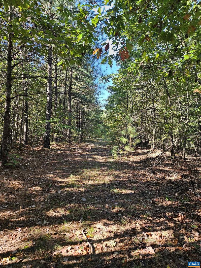 10239 HOWARDSVILLE RD, HOWARDSVILLE, Virginia 24562, 2 Bedrooms Bedrooms, ,1 BathroomBathrooms,Residential,For sale,10239 HOWARDSVILLE RD,665163 MLS # 665163
