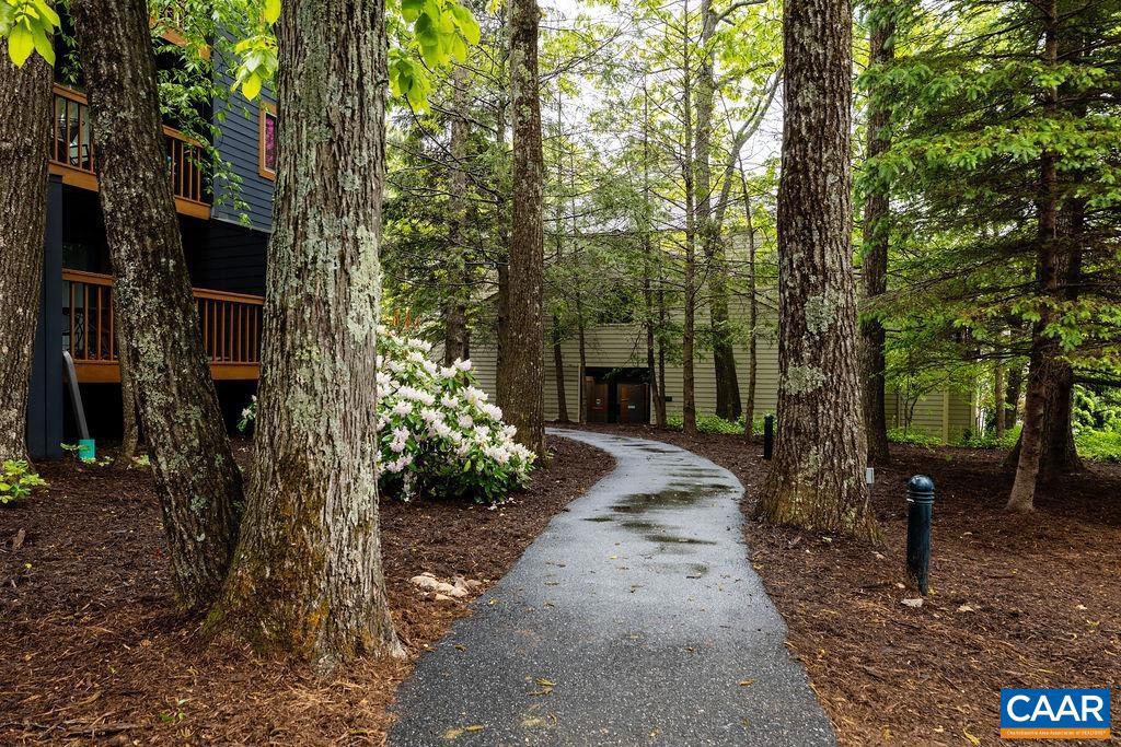 216 TIMBERS CONDOS, WINTERGREEN RESORT, Virginia 22967, 1 Bedroom Bedrooms, ,1 BathroomBathrooms,Residential,For sale,216 TIMBERS CONDOS,665268 MLS # 665268