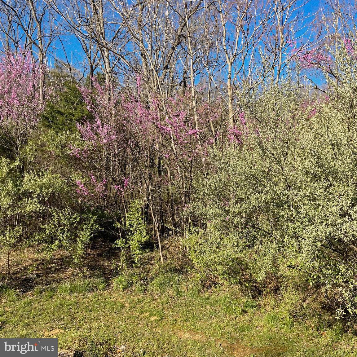 LOT #30 WAVERLY DR, STRASBURG, Virginia 22657, ,Land,For sale,LOT #30 WAVERLY DR,VASH2011278 MLS # VASH2011278