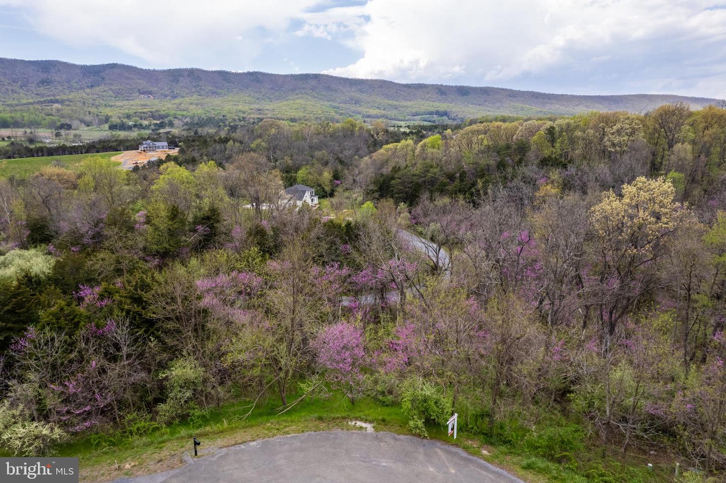 LOT #30 WAVERLY DR, STRASBURG, Virginia 22657, ,Land,For sale,LOT #30 WAVERLY DR,VASH2011278 MLS # VASH2011278