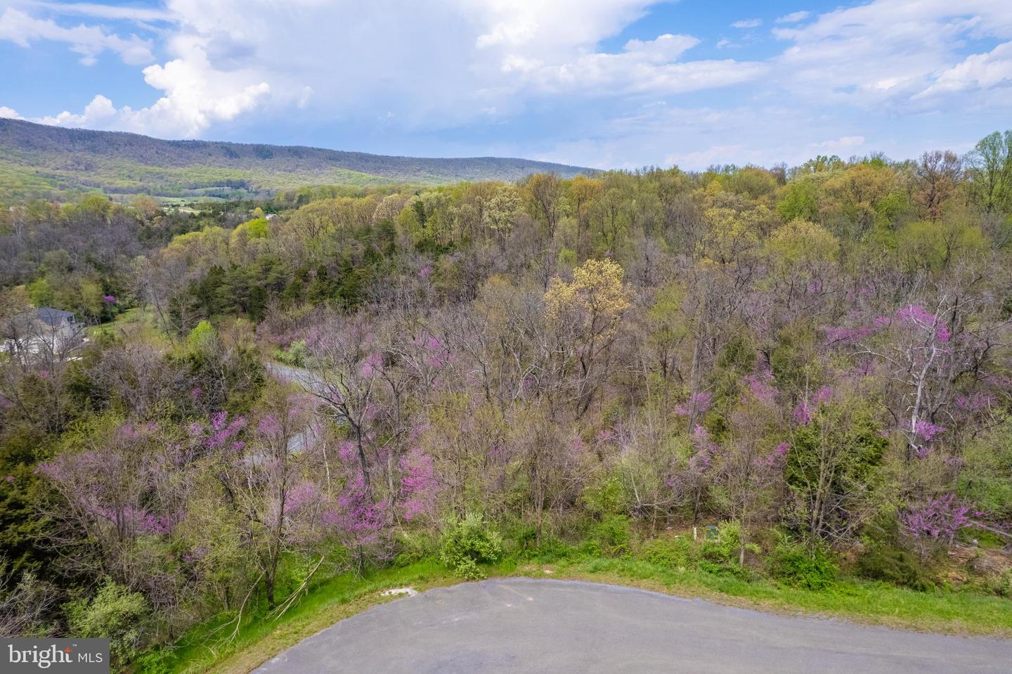 LOT #30 WAVERLY DR, STRASBURG, Virginia 22657, ,Land,For sale,LOT #30 WAVERLY DR,VASH2011278 MLS # VASH2011278