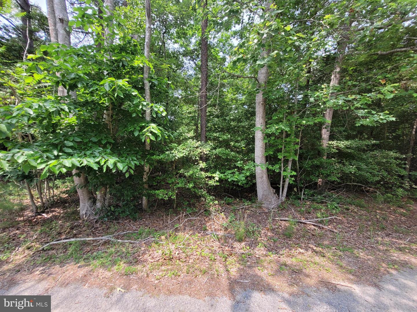 LOT 218 EVERGREEN DRIVE, LANCASTER, Virginia 22503, ,Land,For sale,LOT 218 EVERGREEN DRIVE,VALV2000826 MLS # VALV2000826