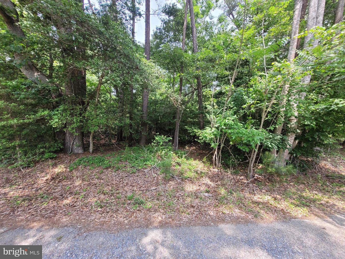 LOT 218 EVERGREEN DRIVE, LANCASTER, Virginia 22503, ,Land,For sale,LOT 218 EVERGREEN DRIVE,VALV2000826 MLS # VALV2000826
