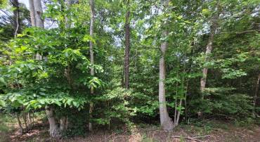 LOT 218 EVERGREEN DRIVE, LANCASTER, Virginia 22503, ,Land,For sale,LOT 218 EVERGREEN DRIVE,VALV2000826 MLS # VALV2000826