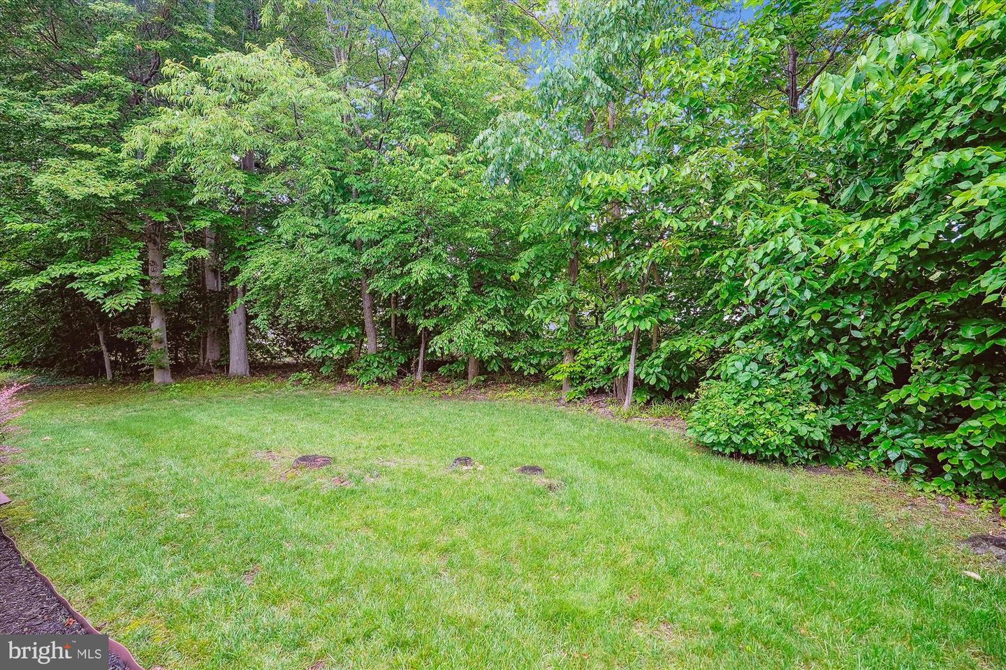 47666 PAULSEN SQ, POTOMAC FALLS, Virginia 20165, 3 Bedrooms Bedrooms, ,3 BathroomsBathrooms,Residential,For sale,47666 PAULSEN SQ,VALO2097898 MLS # VALO2097898