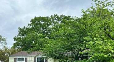 1258 MAGNOLIA, HERNDON, Virginia 20170, 4 Bedrooms Bedrooms, ,3 BathroomsBathrooms,Residential,For sale,1258 MAGNOLIA,VAFX2235078 MLS # VAFX2235078