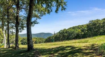 123 EAGLES CT CONDOS #123, WINTERGREEN RESORT, Virginia 22967, 2 Bedrooms Bedrooms, ,1 BathroomBathrooms,Residential,For sale,123 EAGLES CT CONDOS #123,660278 MLS # 660278