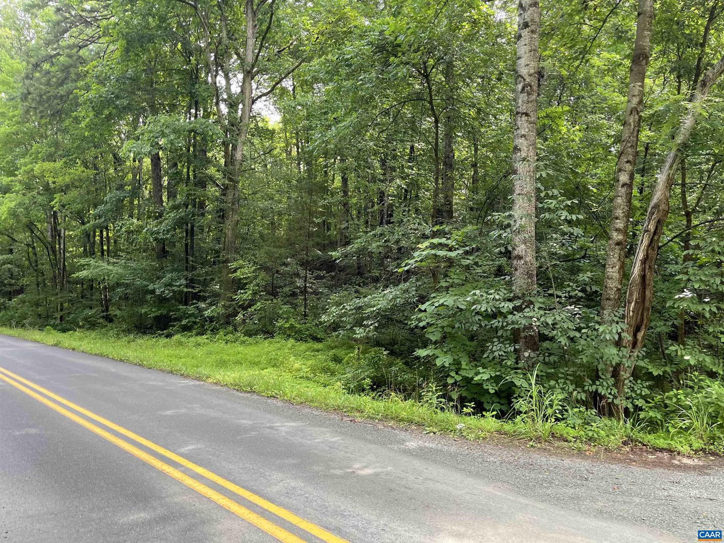SCHUYLER RD, SCHUYLER, Virginia 22969, ,Land,For sale,SCHUYLER RD,659568 MLS # 659568