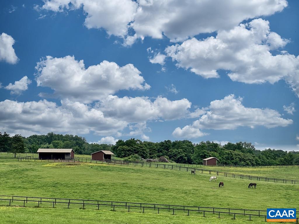 3111 S SEMINOLE TRL, MADISON, Virginia 22727, ,Farm,For sale,3111 S SEMINOLE TRL,664862 MLS # 664862