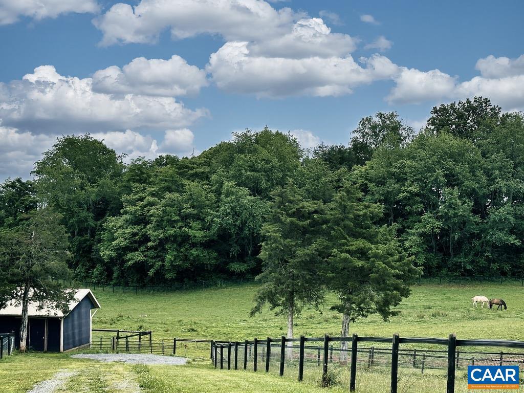 3111 S SEMINOLE TRL, MADISON, Virginia 22727, ,Farm,For sale,3111 S SEMINOLE TRL,664862 MLS # 664862