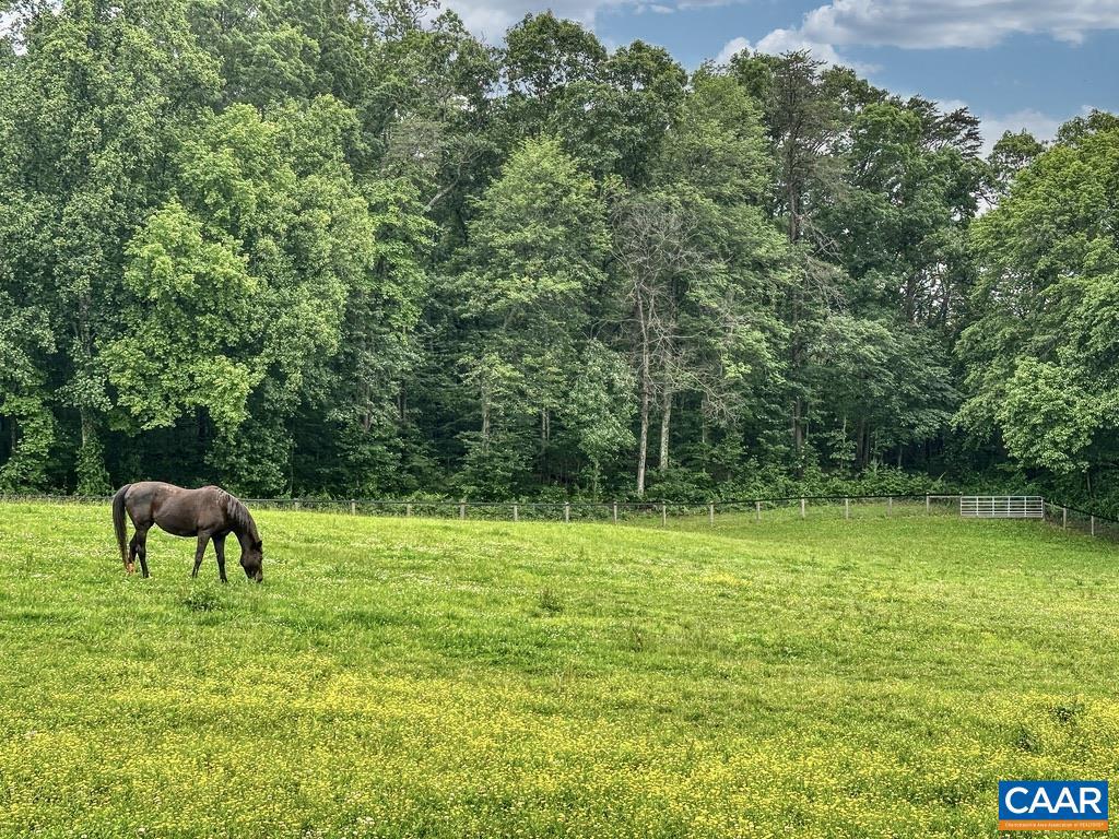 3111 S SEMINOLE TRL, MADISON, Virginia 22727, ,Farm,For sale,3111 S SEMINOLE TRL,664862 MLS # 664862