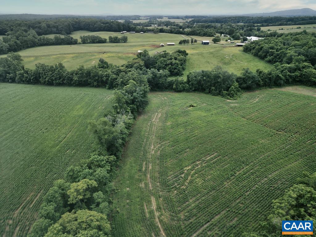 3111 S SEMINOLE TRL, MADISON, Virginia 22727, ,Farm,For sale,3111 S SEMINOLE TRL,664862 MLS # 664862