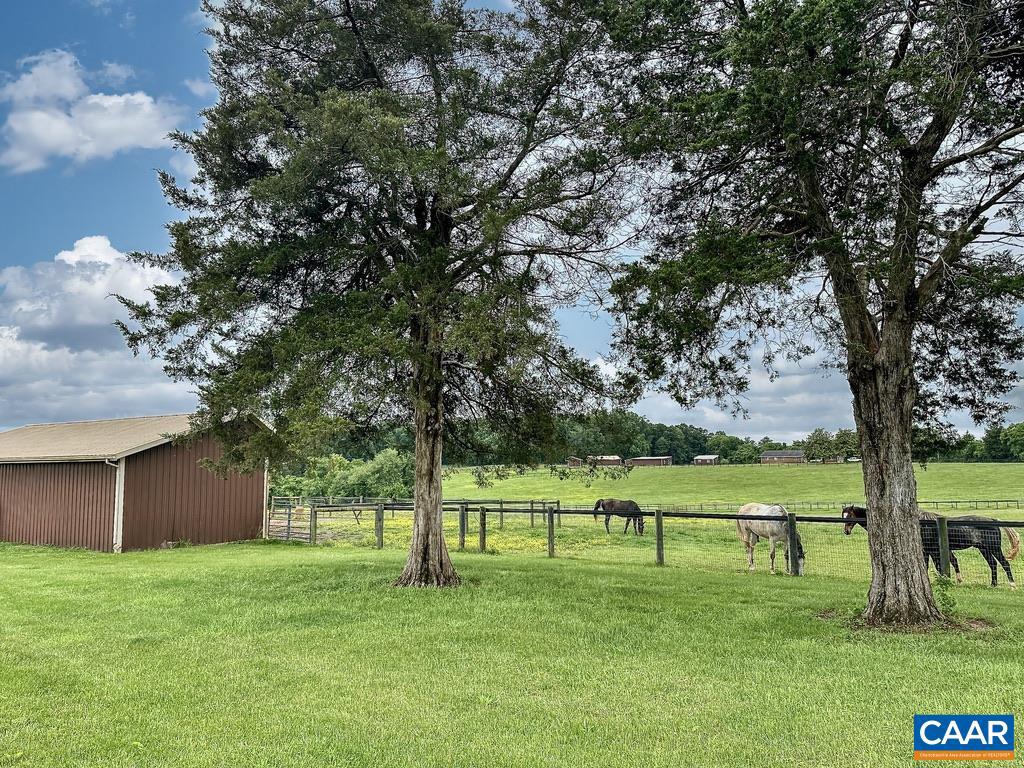 3111 S SEMINOLE TRL, MADISON, Virginia 22727, ,Farm,For sale,3111 S SEMINOLE TRL,664862 MLS # 664862