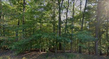 250 SPRINGVALE RD, GREAT FALLS, Virginia 22066, ,Land,For sale,250 SPRINGVALE RD,VAFX2243602 MLS # VAFX2243602