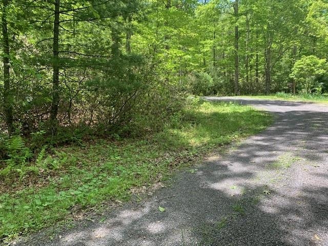 625 HUMMINGBIRD LN, MONTEREY, Virginia 24465, 3 Bedrooms Bedrooms, ,3 BathroomsBathrooms,Residential,625 HUMMINGBIRD LN,665291 MLS # 665291