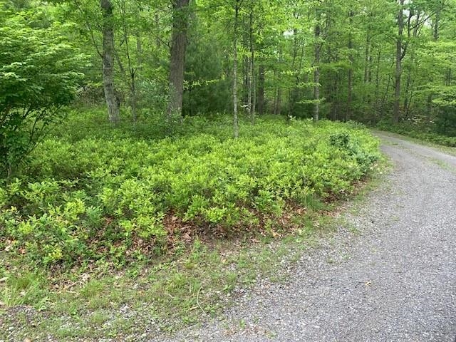 625 HUMMINGBIRD LN, MONTEREY, Virginia 24465, 3 Bedrooms Bedrooms, ,3 BathroomsBathrooms,Residential,625 HUMMINGBIRD LN,665291 MLS # 665291