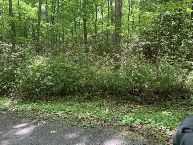 625 HUMMINGBIRD LN, MONTEREY, Virginia 24465, 3 Bedrooms Bedrooms, ,3 BathroomsBathrooms,Residential,625 HUMMINGBIRD LN,665291 MLS # 665291