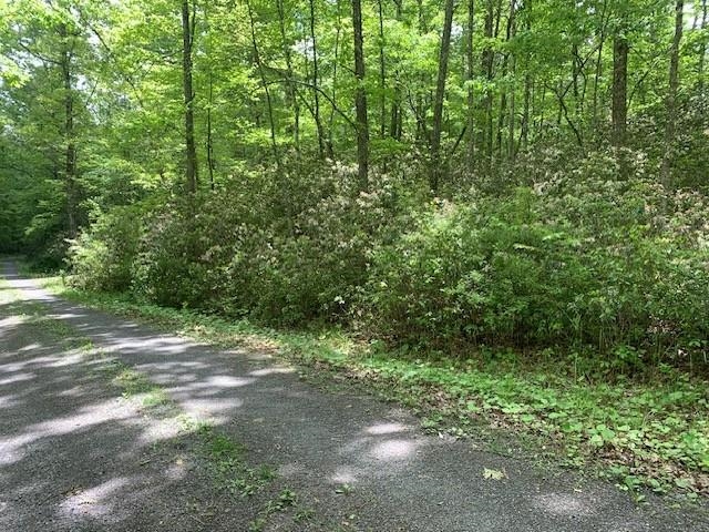 625 HUMMINGBIRD LN, MONTEREY, Virginia 24465, 3 Bedrooms Bedrooms, ,3 BathroomsBathrooms,Residential,625 HUMMINGBIRD LN,665291 MLS # 665291