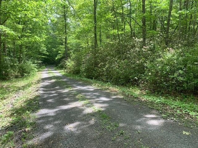 625 HUMMINGBIRD LN, MONTEREY, Virginia 24465, 3 Bedrooms Bedrooms, ,3 BathroomsBathrooms,Residential,625 HUMMINGBIRD LN,665291 MLS # 665291