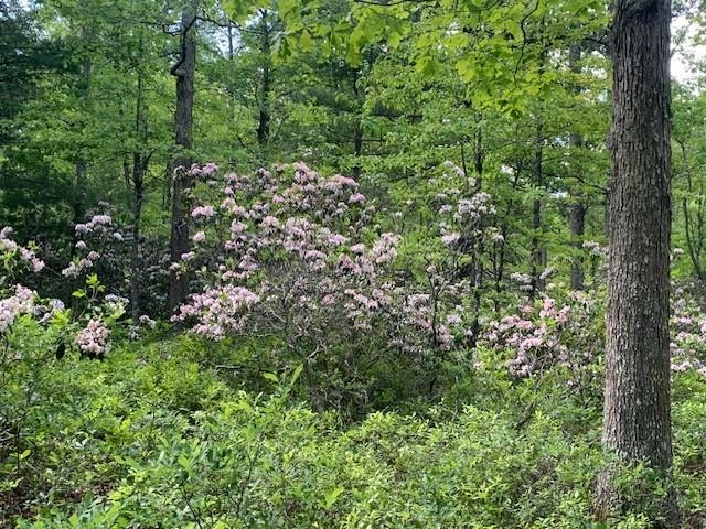 625 HUMMINGBIRD LN, MONTEREY, Virginia 24465, 3 Bedrooms Bedrooms, ,3 BathroomsBathrooms,Residential,625 HUMMINGBIRD LN,665291 MLS # 665291