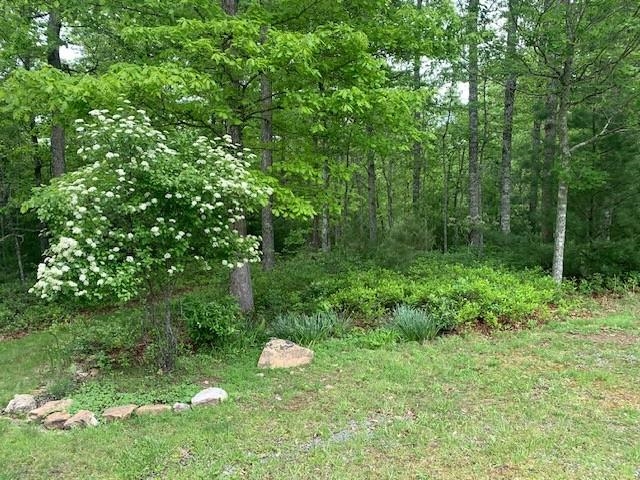 625 HUMMINGBIRD LN, MONTEREY, Virginia 24465, 3 Bedrooms Bedrooms, ,3 BathroomsBathrooms,Residential,625 HUMMINGBIRD LN,665291 MLS # 665291