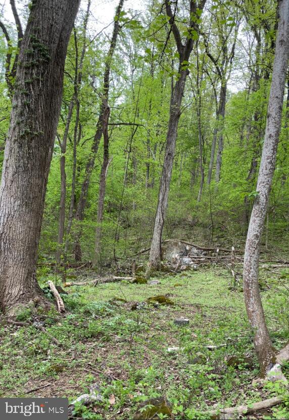 WAPPING FARM RD, FRONT ROYAL, Virginia 22630, ,Land,For sale,WAPPING FARM RD,VAWR2011058 MLS # VAWR2011058
