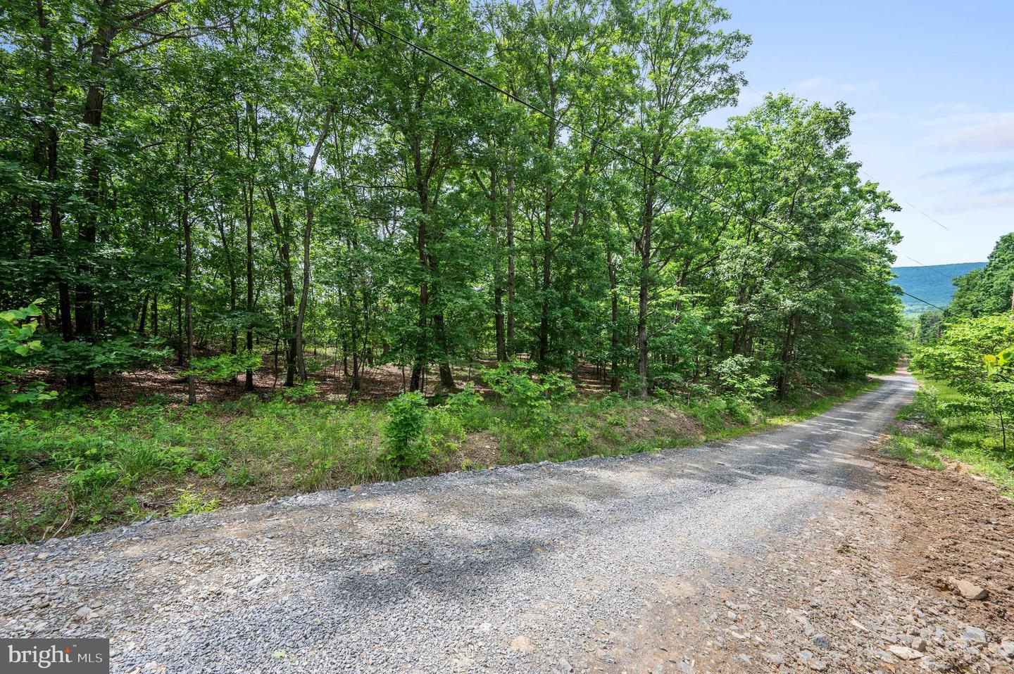 LOT 8 GLEN RIDGE RD, WINCHESTER, Virginia 22601, ,Land,For sale,LOT 8 GLEN RIDGE RD,VAFV2034314 MLS # VAFV2034314