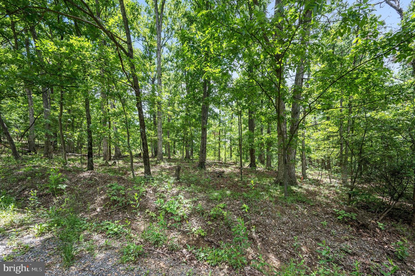 LOT 8 GLEN RIDGE RD, WINCHESTER, Virginia 22601, ,Land,For sale,LOT 8 GLEN RIDGE RD,VAFV2034314 MLS # VAFV2034314