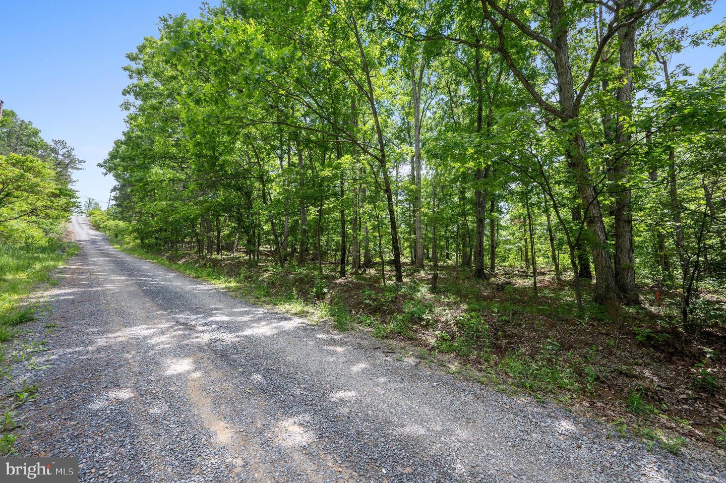 LOT 8 GLEN RIDGE RD, WINCHESTER, Virginia 22601, ,Land,For sale,LOT 8 GLEN RIDGE RD,VAFV2034314 MLS # VAFV2034314