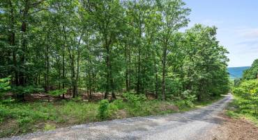 LOT 8 GLEN RIDGE RD, WINCHESTER, Virginia 22601, ,Land,For sale,LOT 8 GLEN RIDGE RD,VAFV2034314 MLS # VAFV2034314