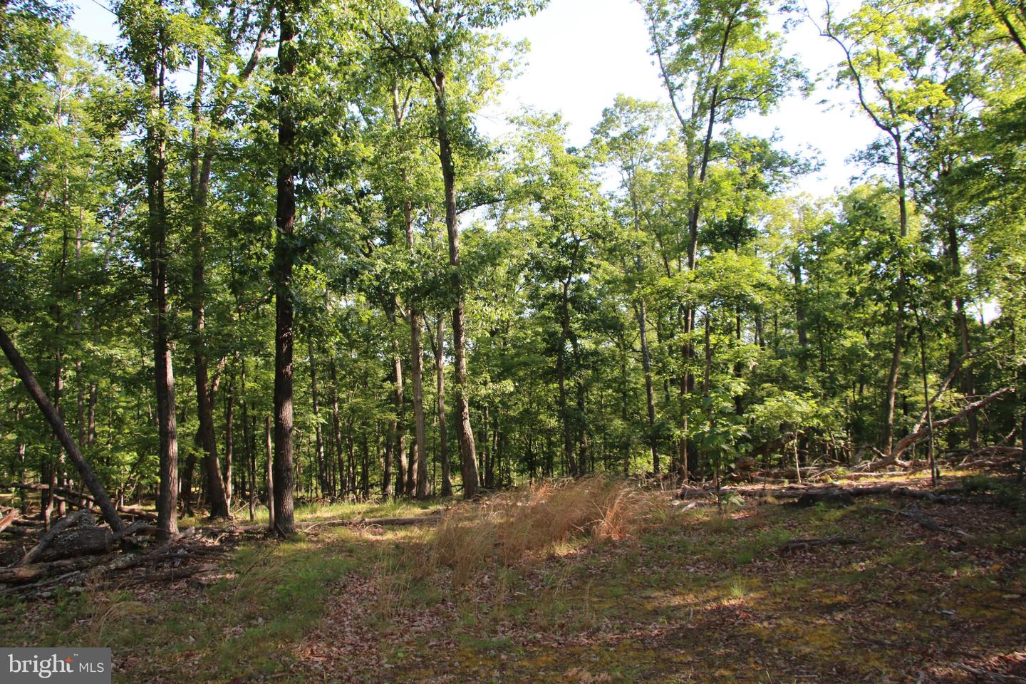 MOCKINGBIRD LOT 8 LN, WINCHESTER, Virginia 22603, ,Land,For sale,MOCKINGBIRD LOT 8 LN,VAFV2034374 MLS # VAFV2034374