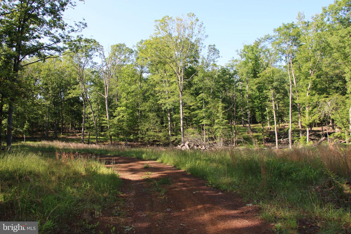 MOCKINGBIRD LOT 8 LN, WINCHESTER, Virginia 22603, ,Land,For sale,MOCKINGBIRD LOT 8 LN,VAFV2034374 MLS # VAFV2034374