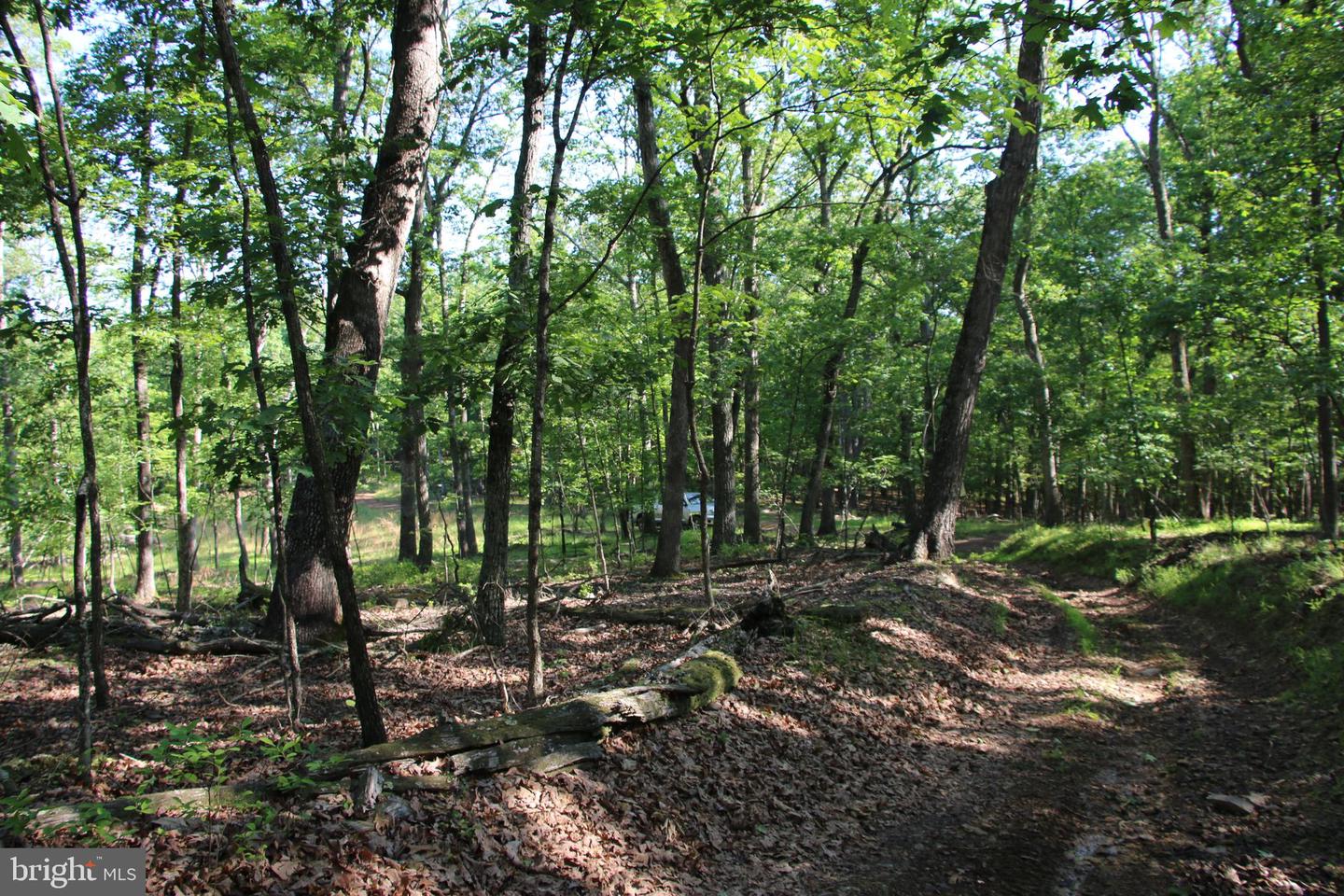 MOCKINGBIRD LOT 8 LN, WINCHESTER, Virginia 22603, ,Land,For sale,MOCKINGBIRD LOT 8 LN,VAFV2034374 MLS # VAFV2034374