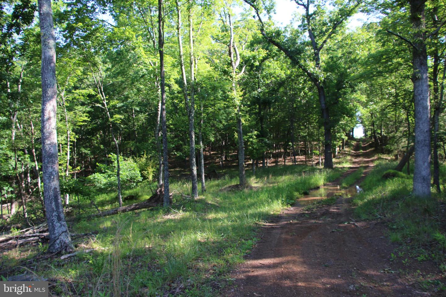 MOCKINGBIRD LOT 8 LN, WINCHESTER, Virginia 22603, ,Land,For sale,MOCKINGBIRD LOT 8 LN,VAFV2034374 MLS # VAFV2034374