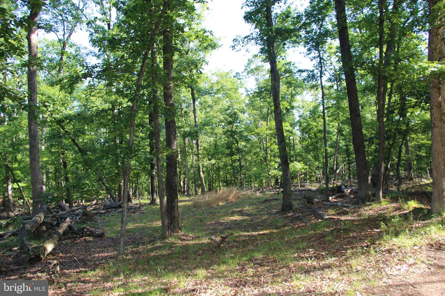 MOCKINGBIRD LOT 8 LN, WINCHESTER, Virginia 22603, ,Land,For sale,MOCKINGBIRD LOT 8 LN,VAFV2034374 MLS # VAFV2034374