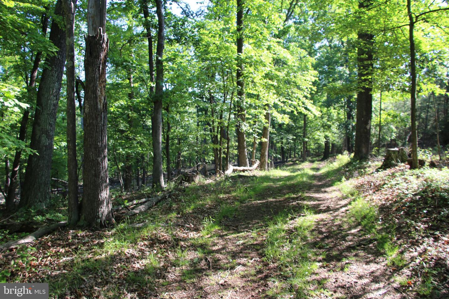 MOCKINGBIRD LOT 8 LN, WINCHESTER, Virginia 22603, ,Land,For sale,MOCKINGBIRD LOT 8 LN,VAFV2034374 MLS # VAFV2034374
