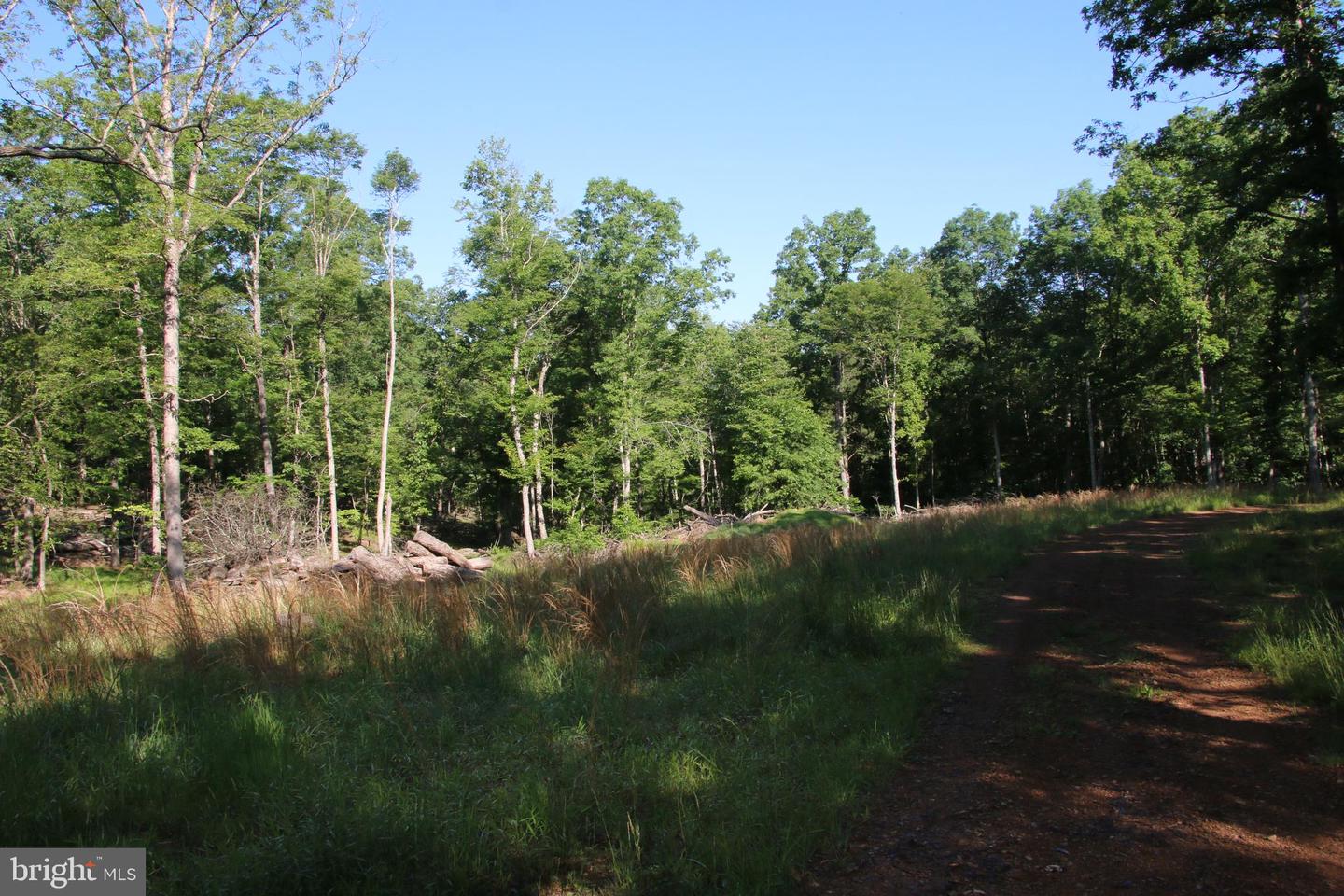 MOCKINGBIRD LOT 8 LN, WINCHESTER, Virginia 22603, ,Land,For sale,MOCKINGBIRD LOT 8 LN,VAFV2034374 MLS # VAFV2034374