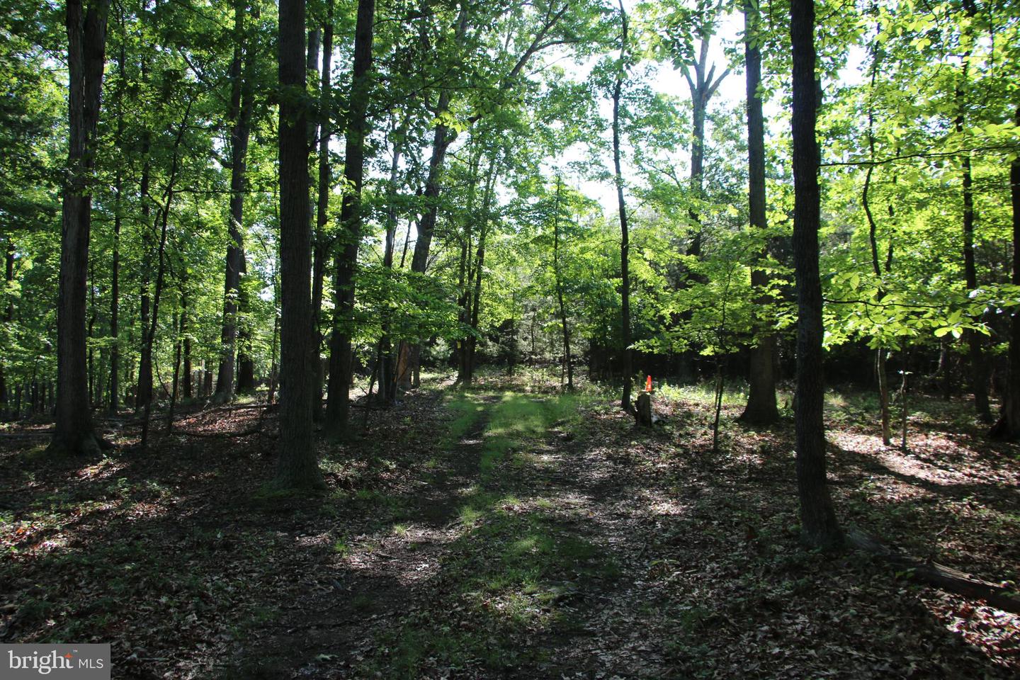 MOCKINGBIRD LOT 8 LN, WINCHESTER, Virginia 22603, ,Land,For sale,MOCKINGBIRD LOT 8 LN,VAFV2034374 MLS # VAFV2034374