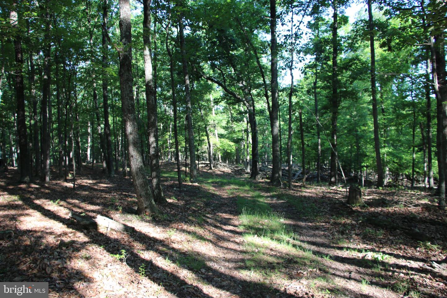 MOCKINGBIRD LOT 8 LN, WINCHESTER, Virginia 22603, ,Land,For sale,MOCKINGBIRD LOT 8 LN,VAFV2034374 MLS # VAFV2034374