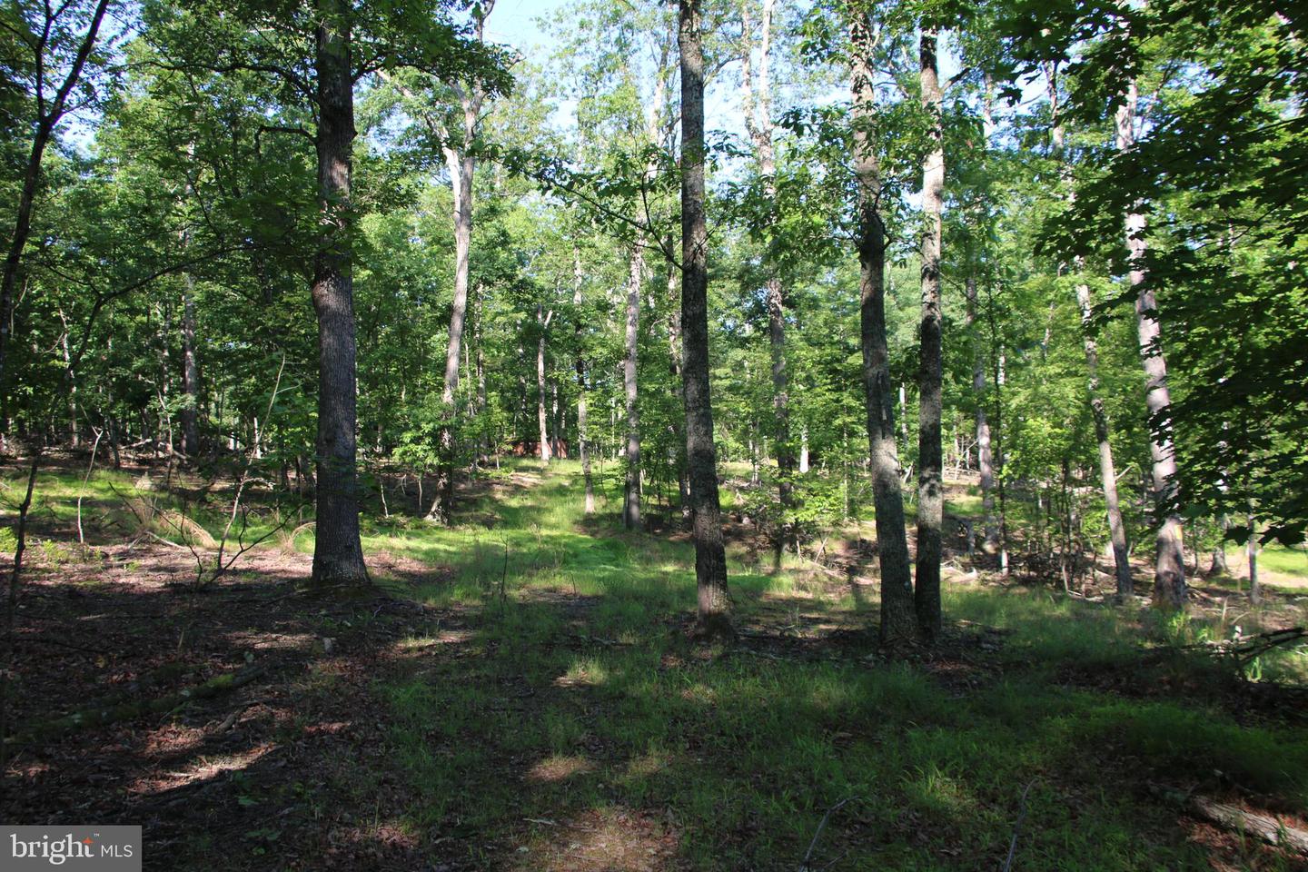 MOCKINGBIRD LOT 8 LN, WINCHESTER, Virginia 22603, ,Land,For sale,MOCKINGBIRD LOT 8 LN,VAFV2034374 MLS # VAFV2034374